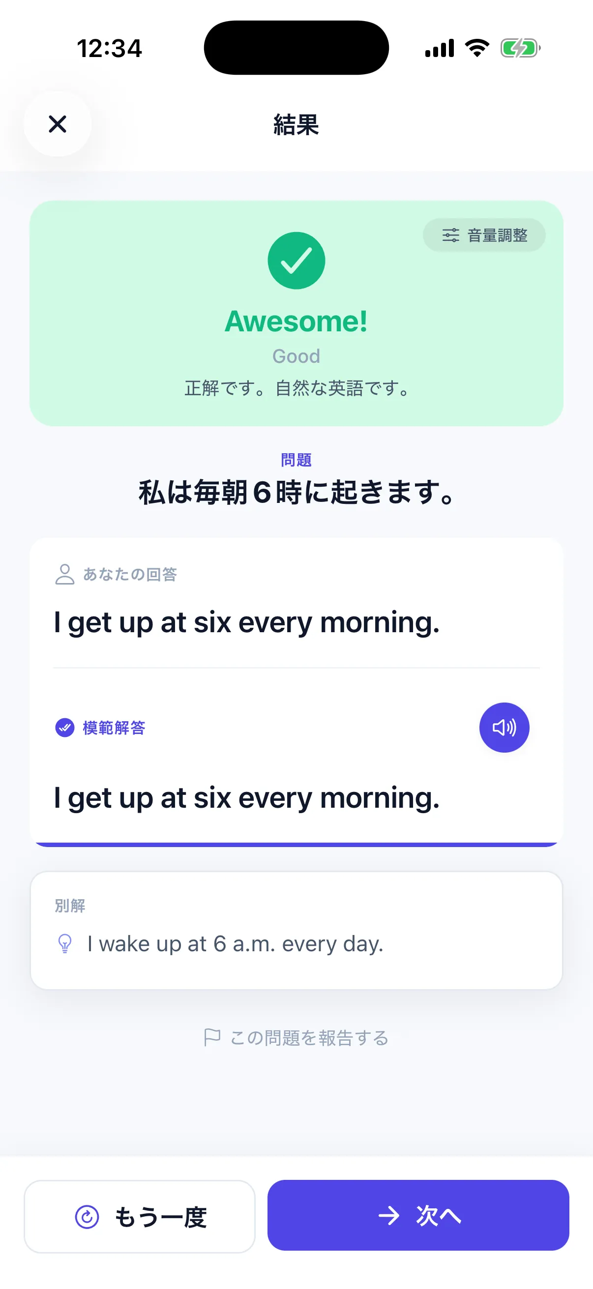 AI 採点結果画面 - 異なる表現でも正解と判定